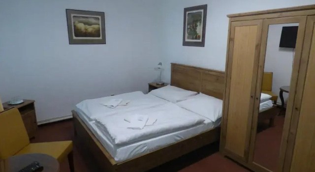Двухместный номер Standard Hotel Svornost