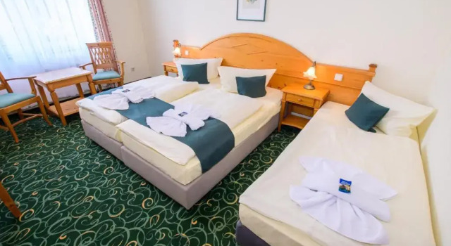 Трёхместный номер Standard Ferien Hotel Fläming