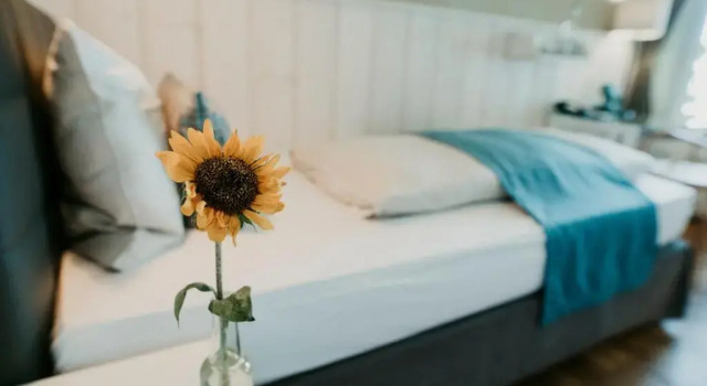 Номер Economy Seehotel Töpferhaus