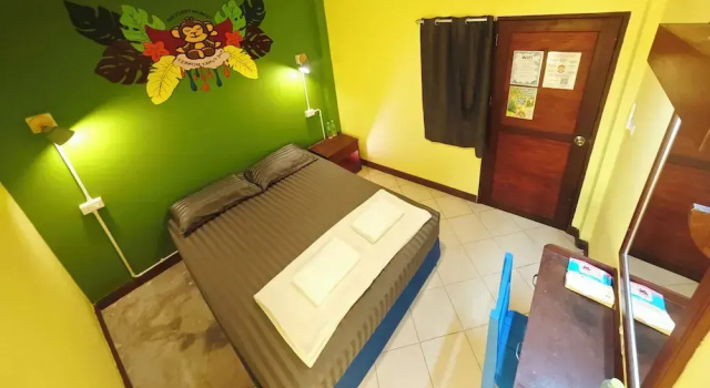 Номер Standard The Funky Monkey Hostel - 18 to 40 years old only