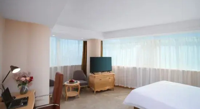 Люкс Business Vienna Hotel (Dezhou Government Shopping Plaza)