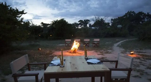 Wild Trails Yala
