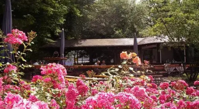 Одноместный номер Standard Hotel Bitburg