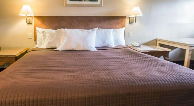 Двухместный номер Standard Rodeway Inn Apopka South