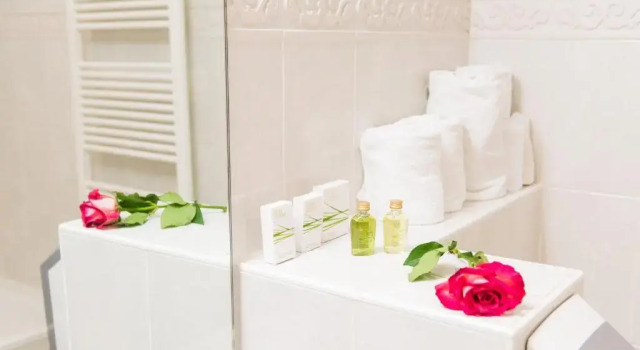 Двухместный номер Comfort Good Seasons Hotel Den Bosch