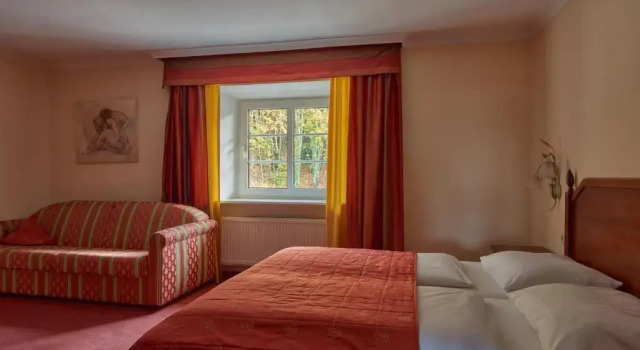 Двухместный номер Standard Hotel Donauhof