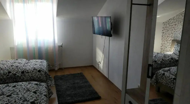 Трёхместный номер Standard Pensiunea Vladut Timisoara