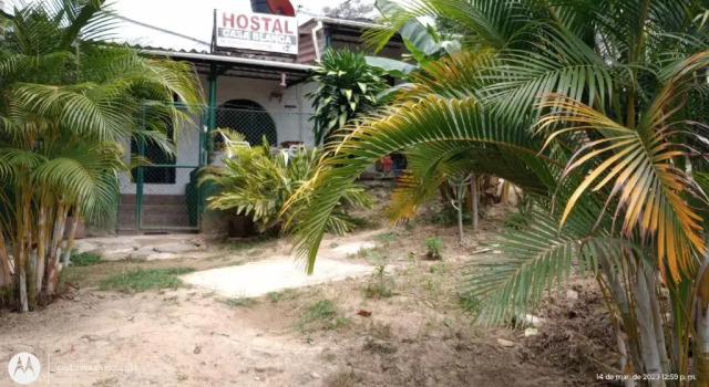 Кровать в общем номере Casa Blanca Minca