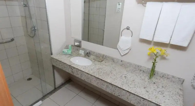 Двухместный номер Superior Holiday Inn Sao Paulo Parque Anhembi by IHG