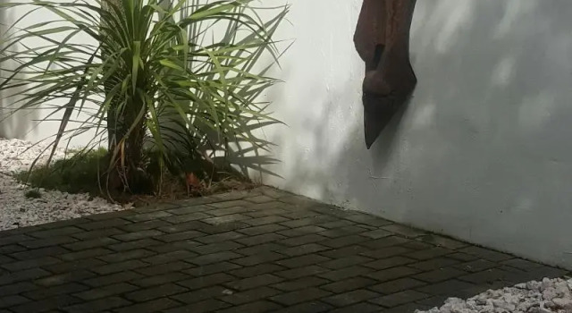 Двухместный номер Standard De Kloof Heritage Estate and Wellness
