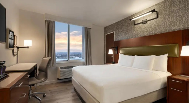 Двухместный номер Deluxe с видом на реку DoubleTree by Hilton New York Downtown