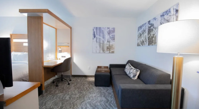 Двухместный люкс SpringHill Suites by Marriott Baton Rouge Gonzales