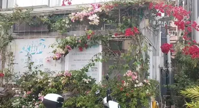 Sunny Homestay, Rezervasyon Otel Shenzhen Shenzhen