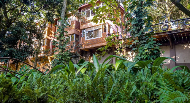 Habitación Económica Forest Cottages