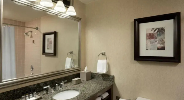 Люкс Park Hyatt Regency Houston West