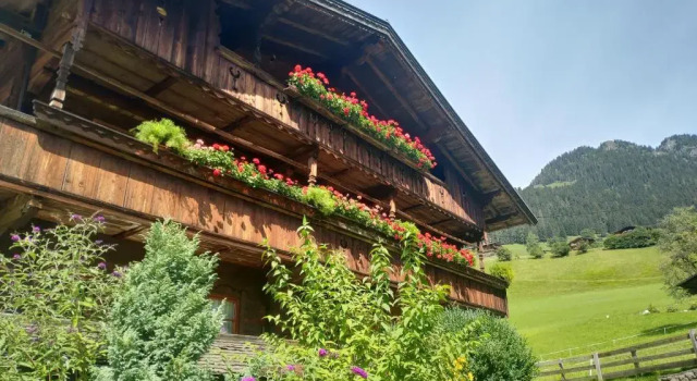 Апартаменты Wörglerhofs Hüttenapartments mit Kachelofen Farm Stay