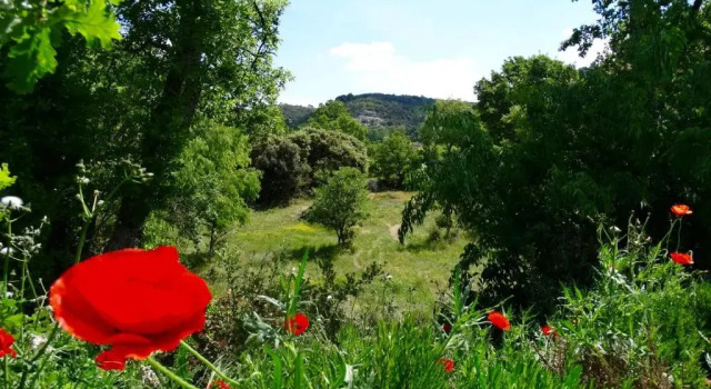Номер Standard Une Sieste en Luberon