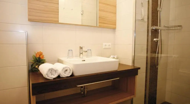 Двухместный номер Standard Hotel Diana