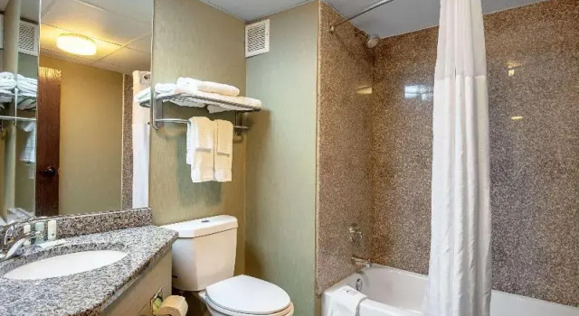 Номер Standard Quality Inn Holly Springs South
