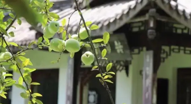 Chengdu Chengshe Hotel (Wenjiang University Town Southwest Caida Branch), Boek Hotel Wenjiang Sichuan