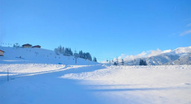 Коттедж Ski-in Ski-out Chalet Maiskogel 17C - by Alpen Apartments