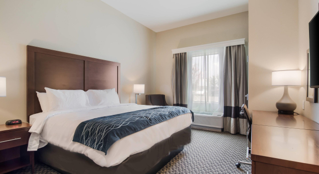 Двухместный номер Standard Comfort Inn & Suites Rock Hill Northeast