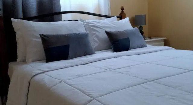 Pinard's Vacation Home-Apt 3, 예약 호텔 Pointe Michel 도미니카 연방