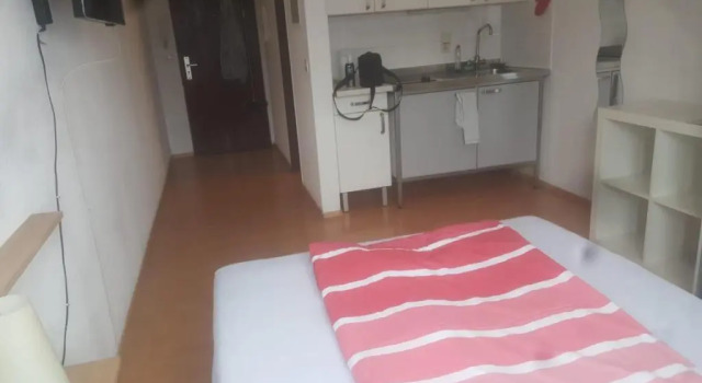 Апартаменты c 1 комнатой Appartement Altstadt Mainz
