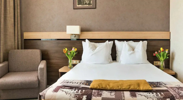 Одноместный номер Deluxe Dunav Plaza Hotel