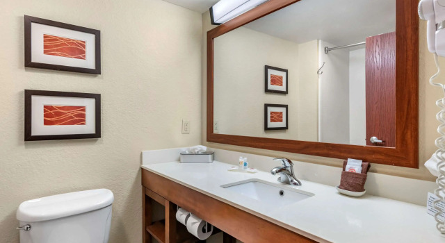 Двухместный люкс Comfort Inn & Suites Orlando North