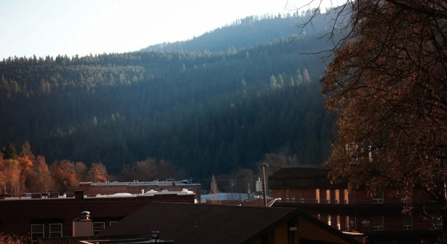 Номер Standard White Pine Motel