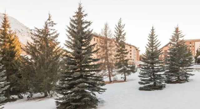 Appartement Montgenèvre, 1 pièce, 2 personnes - FR-1-330D-22