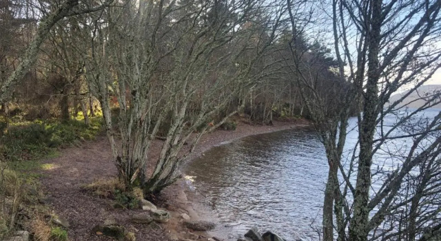 Номер Standard Foresters Lodge bed and breakfast, near loch ness