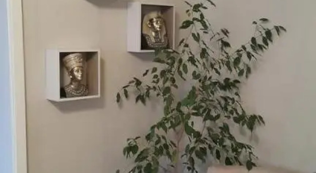Apartment Plamen Delux