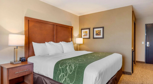 Двухместный номер Standard Comfort Inn & Suites Schenectady - Scotia