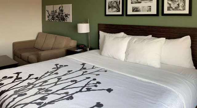 Двухместный люкс Sleep Inn & Suites & Conference Center