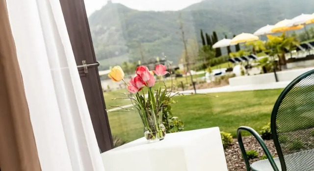 Номер Standard Цокольный этаж с балконом Hotel Thalhof am See