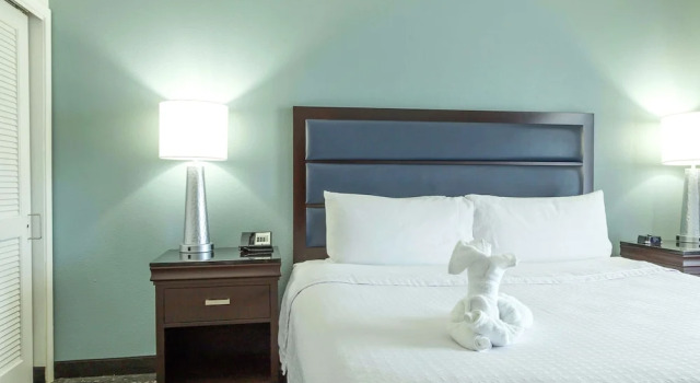 Двухместная студия Accessible Homewood Suites by Hilton Miami - Airport West