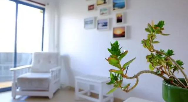 Algarve Surf Hostel - Lagos, Book Hostel / Vandrerhjem Hostels i Lagos, Hostel / Vandrerhjem