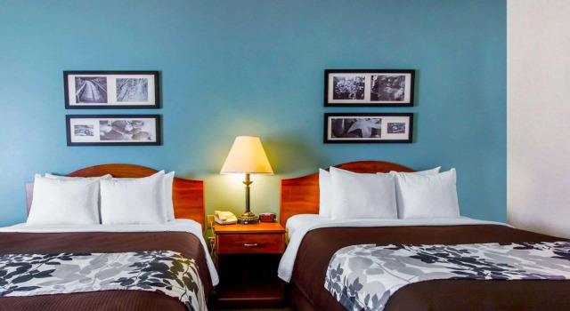 Четырёхместный номер Standard Sleep Inn & Suites Evansville - Casper