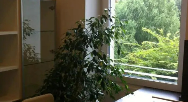 Joanna Apartment - MA Rheinau 3, Reserva ahora Apartamento Mannheim Mannheim
