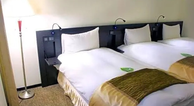 Трёхместный номер Deluxe Gala Hotel