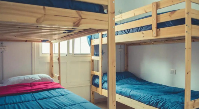 Номер Standard Aloe Vera Shared House