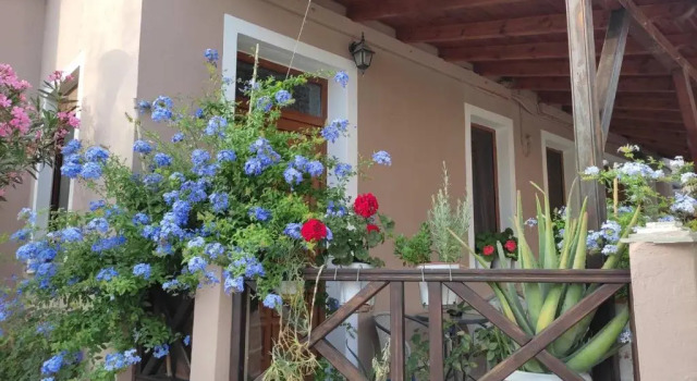 Апартаменты Plumbago Apartment