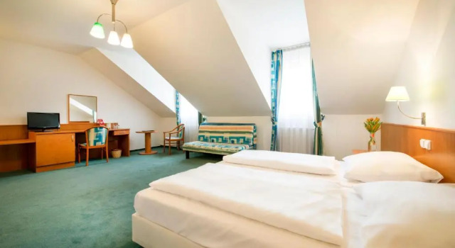 Трёхместный номер Standard Hotel Dvorak