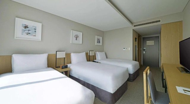 Трёхместный номер Standard Harbor Park Hotel