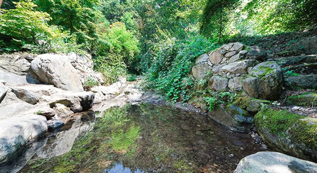 Yangpyeong Jongjagol Hill Fragrance Pension