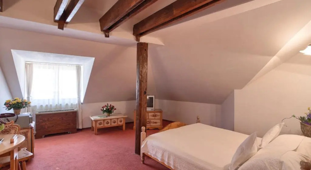 Номер Superior Hotel Traube