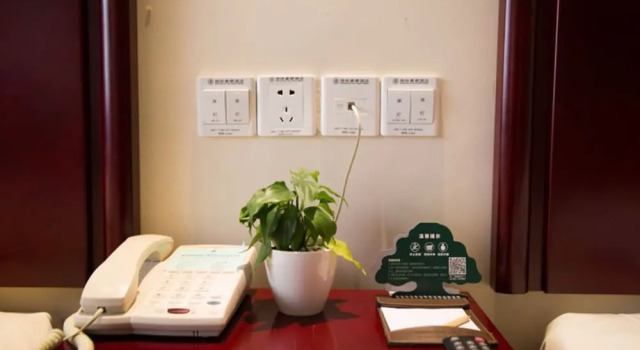 Номер Standard GreenTree Inn GuangDe County ZhongYang LeCheng Hotel