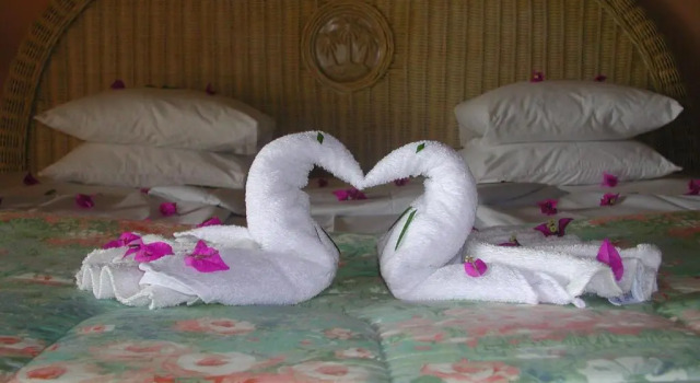 Двухместный номер Standard Coco Reef Resort & Spa
